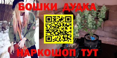 прущие крисы Будённовск