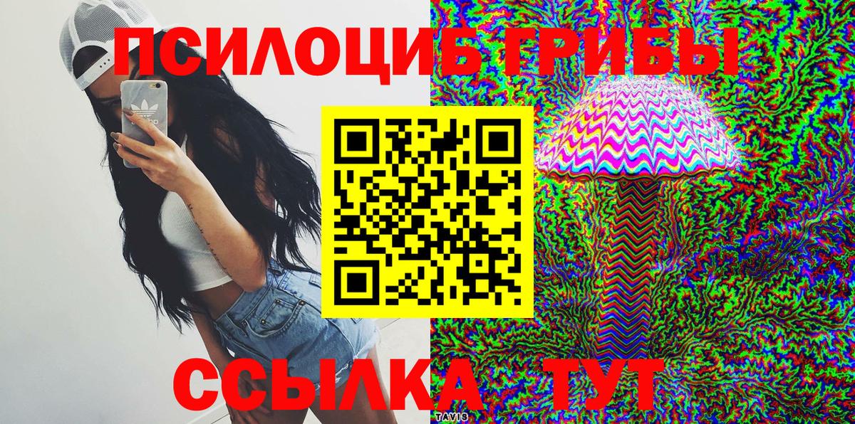 Галлюциногенные грибы GOLDEN TEACHER  хочу наркоту  Саянск  Вход с VPN 